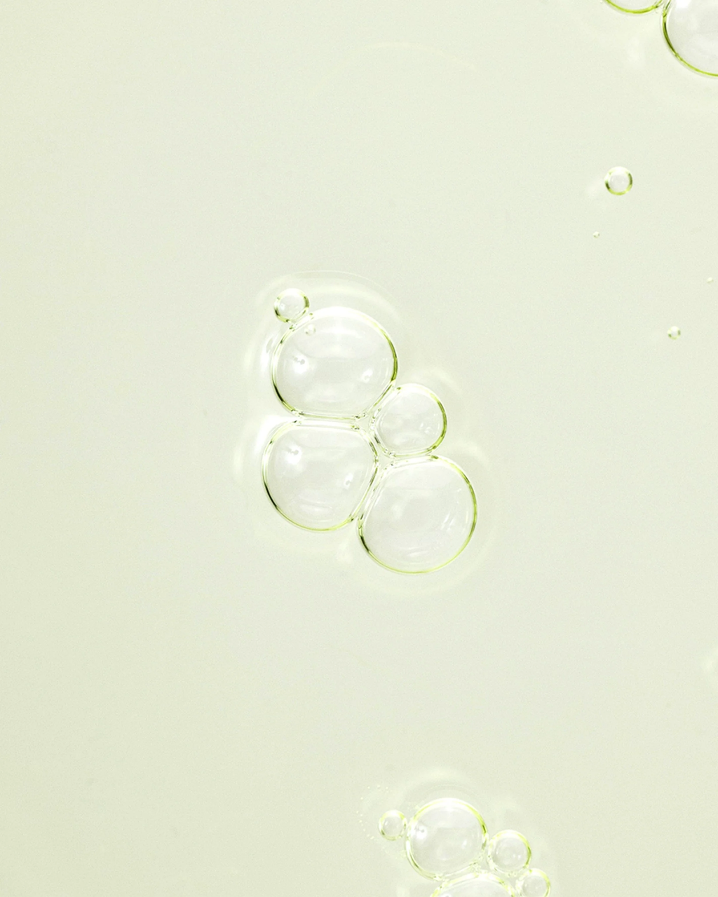Calming Serum : Green tea + Panthenol